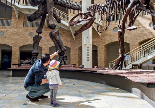Discover the Interactive Exhibits at Mississippi Museums